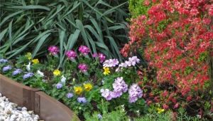  Fences for flower beds: do-it-yourself decorative borders