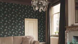  Comporte du papier peint allemand à l'intérieur