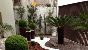  Verfügt über Räumungsspuren im Land