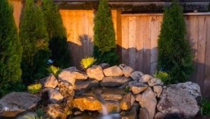  Pond in the country: varieties and technology do it yourself