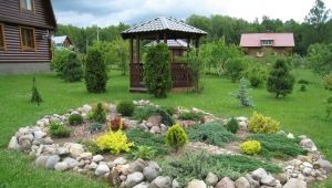  Rockeries in landscape design: types and features of design