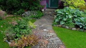  Garden paths: how to make cheap and beautiful with your own hands?