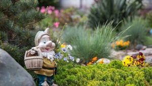  Formes de jardin: le choix du matériau et la fabrication par étapes de leurs propres mains