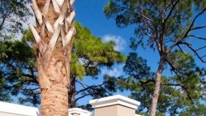  Sectional concrete fence: design features