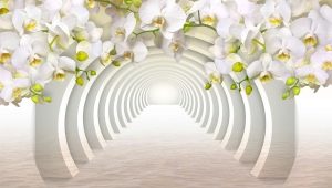  Stereoskopische 3D-Tapete für Wände: Schaffen Sie ein faszinierendes Interieur