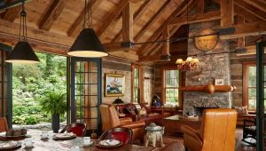  Les subtilités de la conception de salon dans un style campagnard