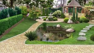  Subtleties of landscaping design area of ​​25 hectare