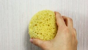   Enlevez les traces de la poignée et autres salissures du papier peint.