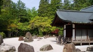  Important details of landscape design: decorative stones in your garden