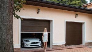  DoorHan Gate: Merkmale der Wahl