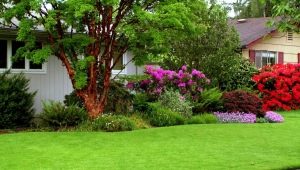  All the subtleties of the selection and installation of artificial grass in the country