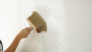  Primer for exterior: recommendations on the choice and work with the material