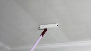  Comment peindre le plafond avec de la peinture à base d'eau sans divorce?