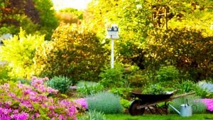  Beds for summer cottages and country houses: types and their design