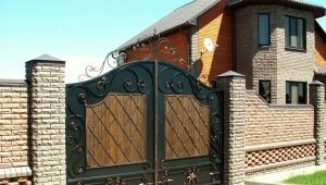  Portes forgées: tous les détails du choix du matériau et des étapes d'installation