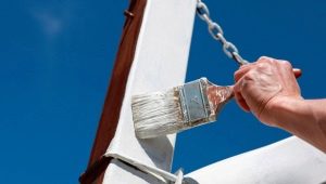  Lackrost: Typen und Spezifikationen