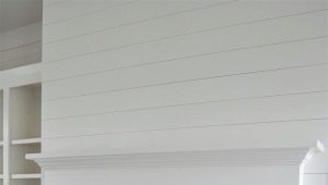  Caractéristiques d'une tuile de brique pour les fours et les cheminées