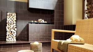  Caractéristiques d'une tuile de brique Paradyz