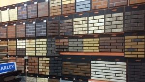  Caractéristiques d'une tuile de brique sous une pierre