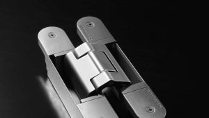  Gate hinges: types and features of choice