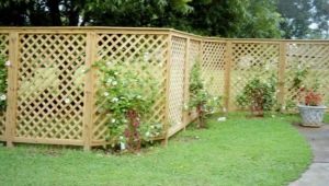  Plastic fences: the pros and cons