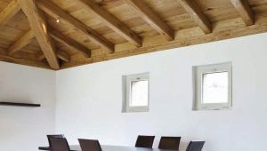  Dalle Cersanit: caractéristiques et caractéristiques d'utilisation