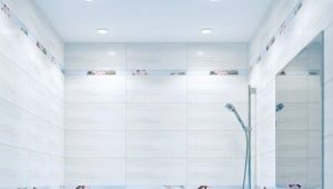  Carreau Novogres: Collections populaires