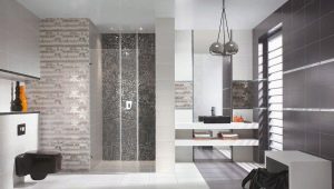  Carrelage Paradyz à l'intérieur