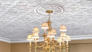  Dalle de plafond en polyfoam: versions et caractéristiques d'utilisation