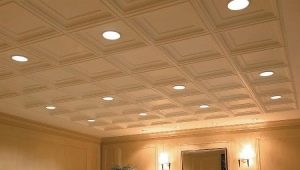  Dalles de plafond: caractéristiques et variétés