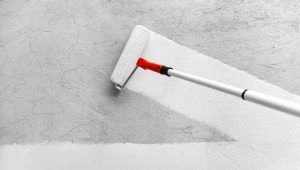  Die Vorteile der Grundierung von Wänden: Arten von Böden und Eigenschaften ihrer Nutzung