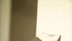  Pufas Putty: caractéristiques et avantages