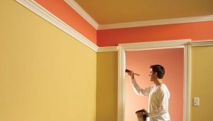  Peinture silicone: les subtilités du choix