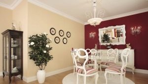  Die Feinheiten beim Malen der Wände in der Wohnung machen es selbst