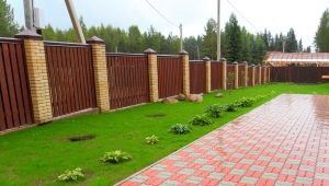  Feinheiten, die Pflastersteine ​​im Land legen