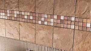  Colle à carrelage renforcé: critères de sélection