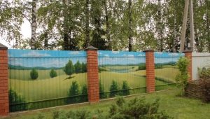 Slate fence: design features