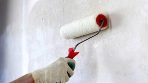  Acrylgrundierung: Merkmale der Wahl und Anwendung