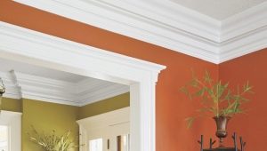  Baguettes pour le plafond: tailles, matériaux et caractéristiques