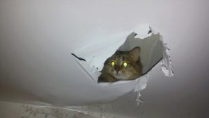  Wie versiegelst du das Loch in der Spanndecke mit deinen eigenen Händen?