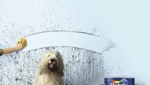  Peintures Dulux: Avantages et inconvénients