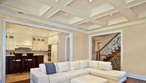  Plafonds à plusieurs niveaux dans un design intérieur moderne