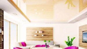  Pongs de plafonds tendus: caractéristiques et design