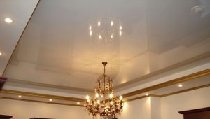  Nous réalisons un intérieur avec un plafond tendu en miroir