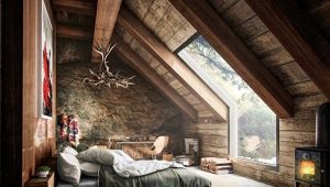  Caractéristiques de la conception du grenier