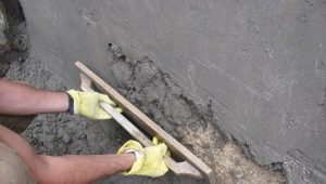  Merkmale der Putzwände aus Zementmörtel