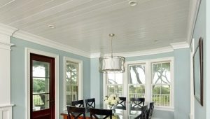  Die Decke von Kunststoffplatten: die Vor- und Nachteile