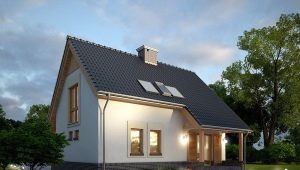  The project is a house size of 8 to 10 with an attic