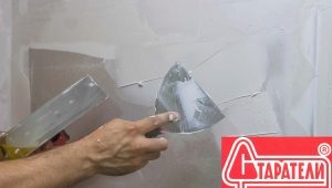  Mineurs de mastic dur: types et caractéristiques