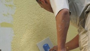  Coléoptère de l'écorce: caractéristiques et champ d'application